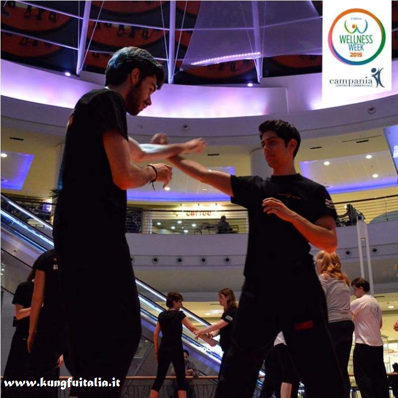 Wellness week Campania Caserta Kung Fu Academy con Sifu Salvatore Mezzone Tai Chi Wing Chun Tjun Tsun shaolin e Ip Man arti marziali www.kungfuitalia.it IMAA Italia (7)